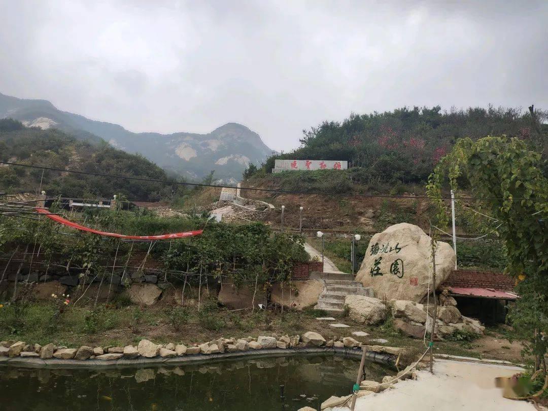 领克中大型旗舰SUV新09EM-P上市